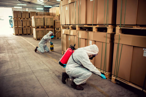 Best Best Pest Control Companies  in Lakes East, CT