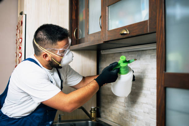 Pest Prevention Services in Lakes East, CT