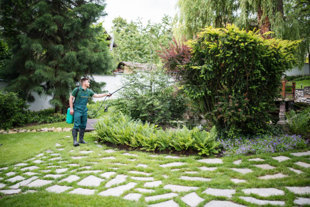 Best Mosquito Control Services  in Lakes East, CT