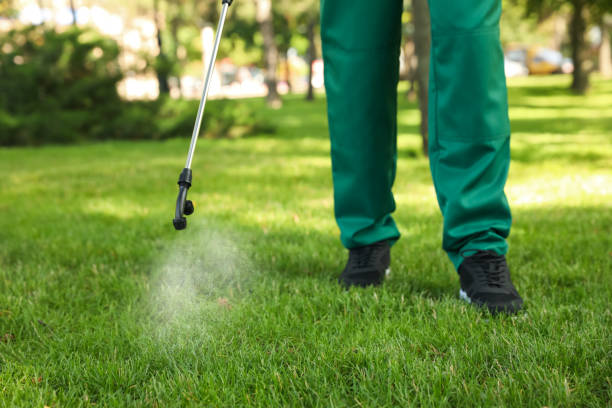 Best Flea Control Services  in Lakes East, CT
