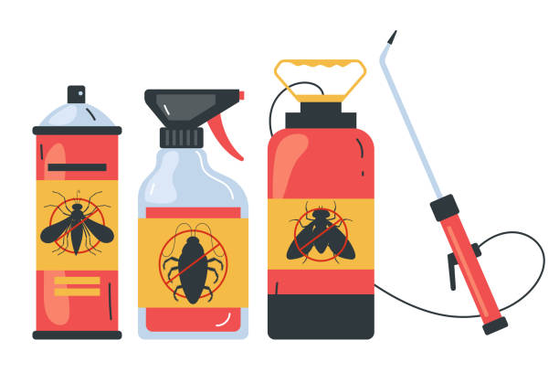 Trusted Lakes East, CT Pest Control Experts