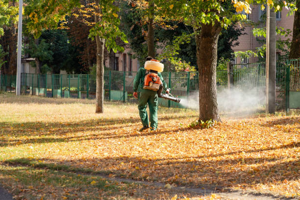 Best Termite Control Services  in Lakes East, CT