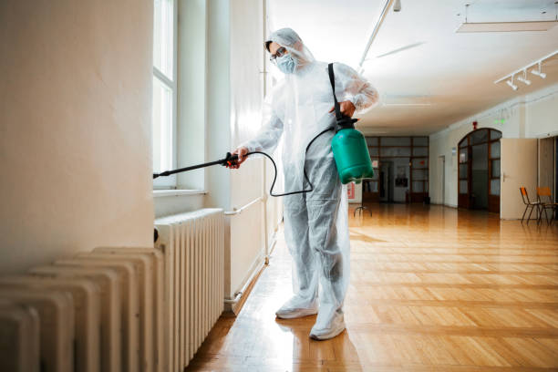 Best Bed Bug Extermination  in Lakes East, CT