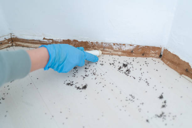 Pest Control Cost in Lakes East, CT