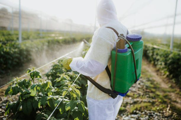 Best Exterminator Services  in Lakes East, CT